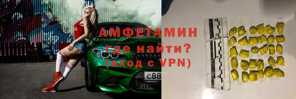метадон Богданович