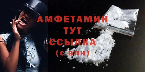 метадон Богданович