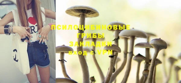 метадон Богданович