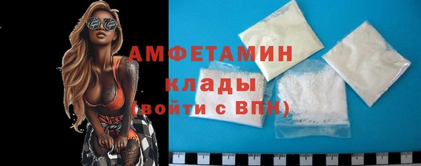 метадон Богданович