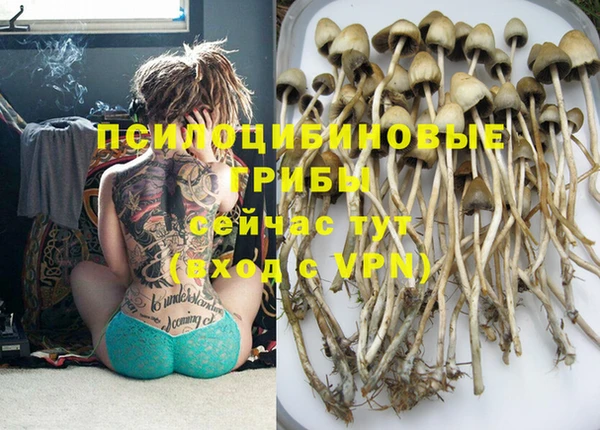 метадон Богданович