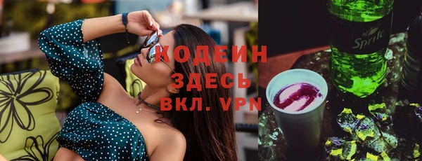 метадон Богданович