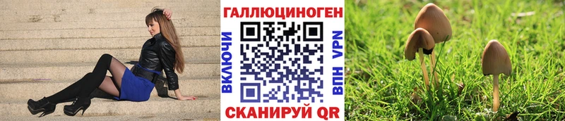 Купить где  Лукоянов  Псилоцибиновые грибы MAGIC MUSHROOMS 
